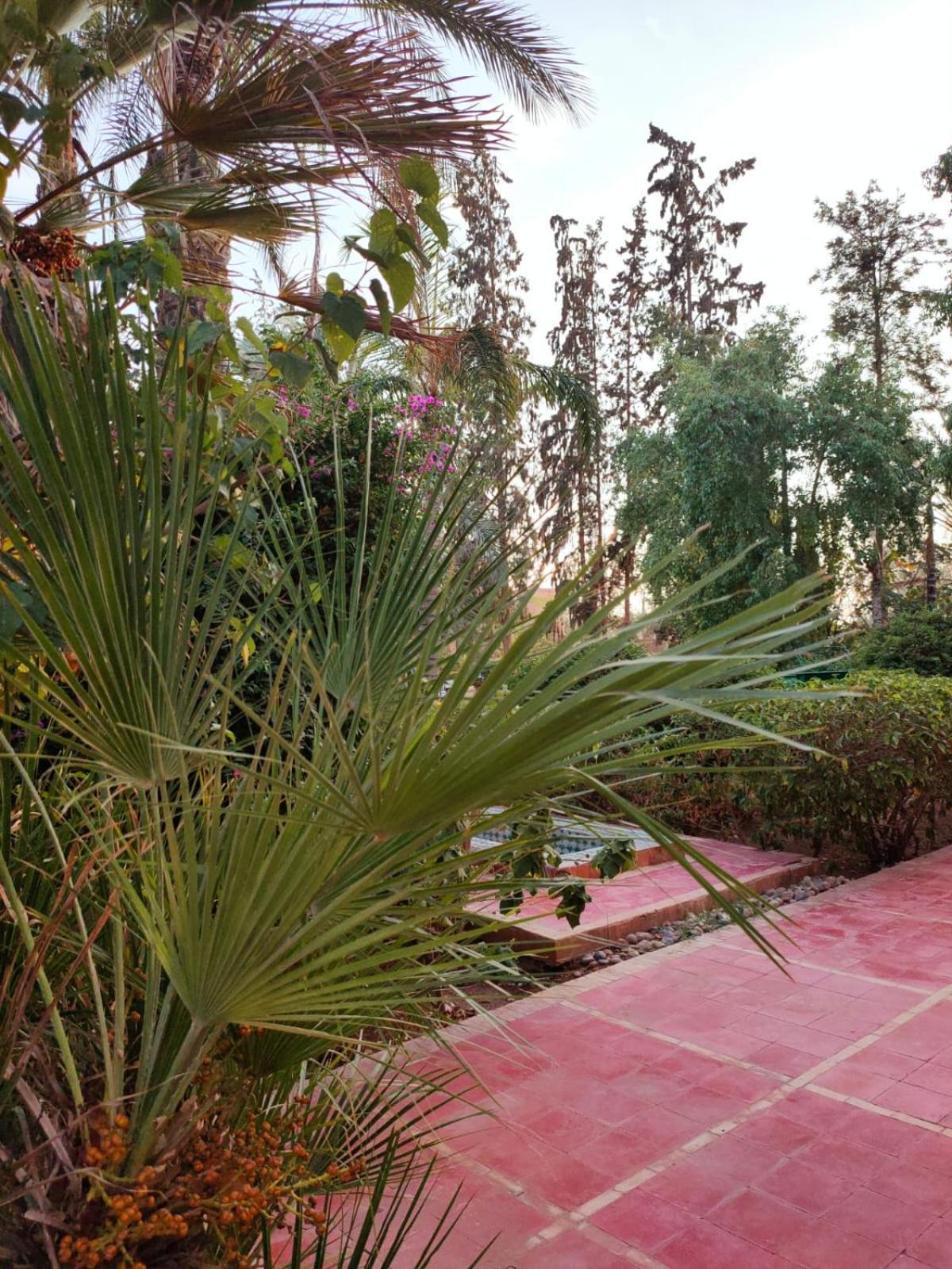 Sheherazade Marrakech Pensión