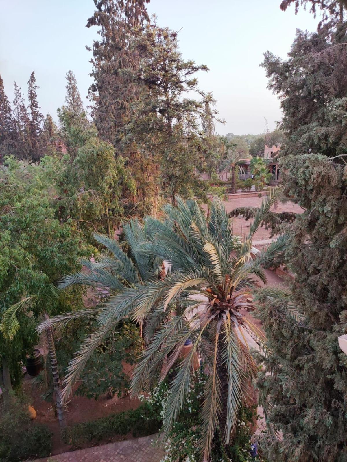 Pensión Sheherazade Marrakech