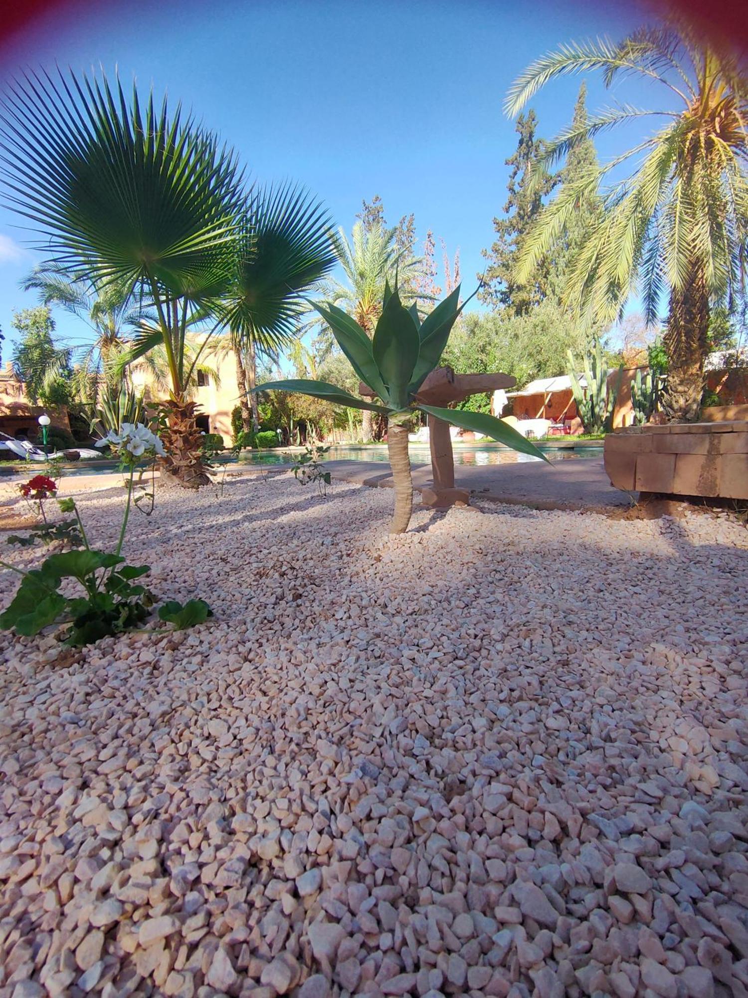 Sheherazade Marrakech Guest house Marrakesh